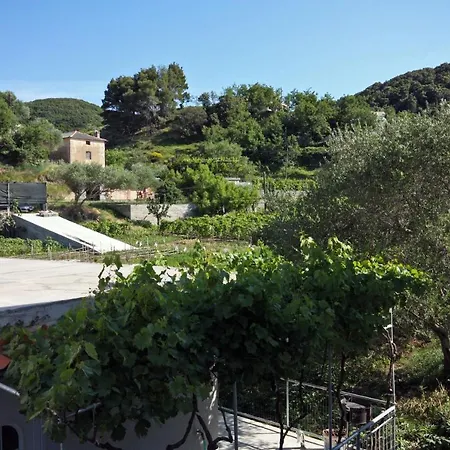 公寓 Family-friendly With Swimming Pool - Donja, Rab - 2019